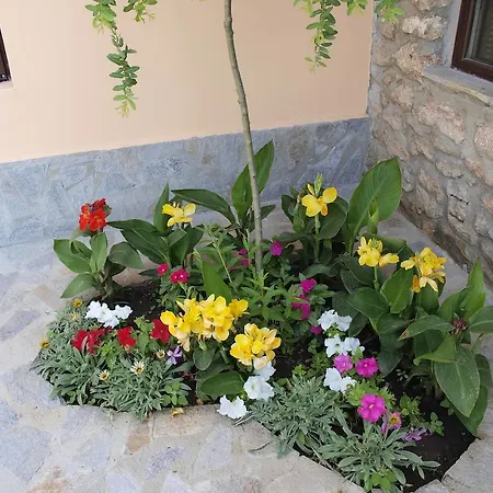 Гостевой дом Dobrevata House 2*
